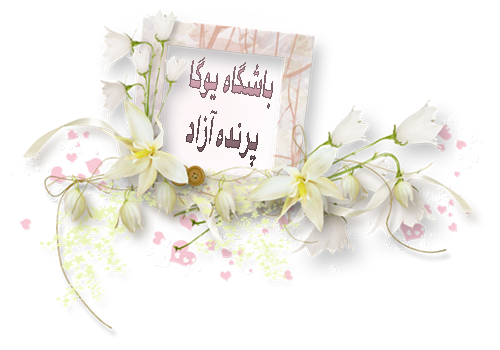 ,Yogaلحظه ابدی اکنون, خوشبختی, پرنده آزاد , کلاس یوگا , یوگا , یوگا استان البرز , امید, پیام هفته,